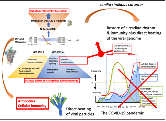 Click here to view Large image 5