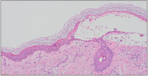 Click here to view Large image 5