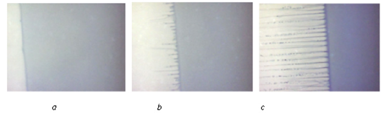 Click here to view Large Figure 2