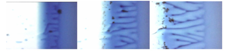 Click here to view Large Figure 3