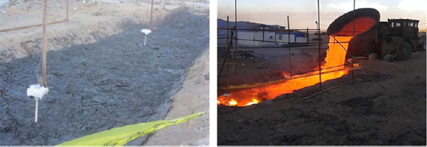 Click here to view Large Figure 3