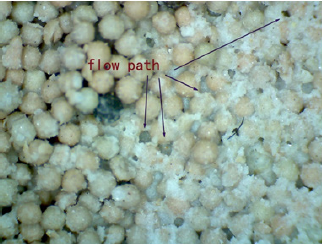 Click here to view Large Figure 7