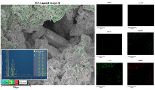 Click here to view Large Figure 10
