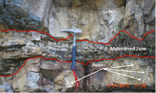 Click here to view Large Figure 2