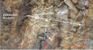 Click here to view Large Figure 3