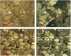 Click here to view Large Figure 5