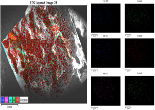 Click here to view Large Figure 7