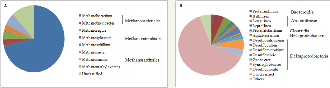 Click here to view Large Figure 3