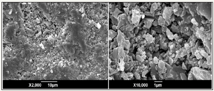 Click here to view Large image 8