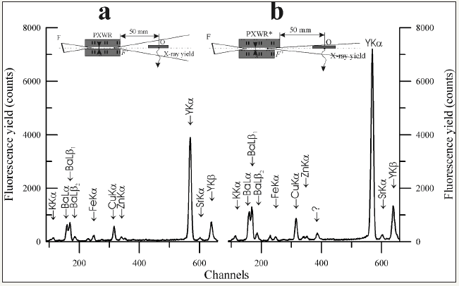 Click here to view Large image 19