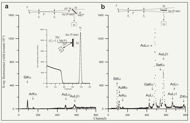 Click here to view Large image 2