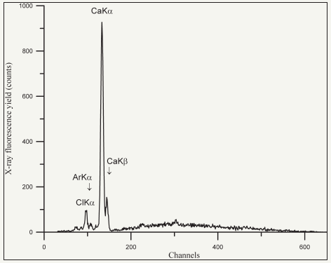 Click here to view Large image 23