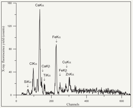 Click here to view Large image 25