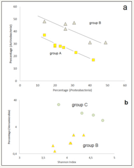 Click here to view Large image 5
