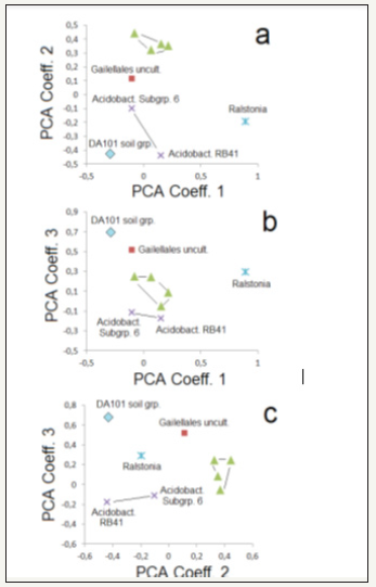 Click here to view Large image 6