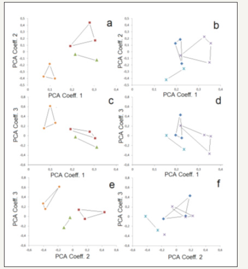 Click here to view Large image 7