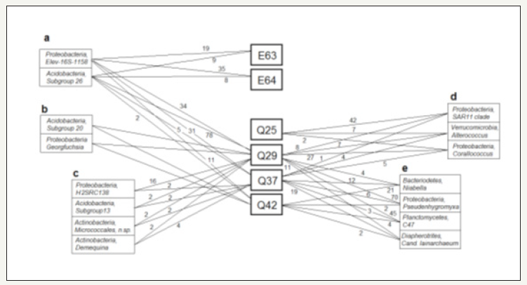 Click here to view Large image 8