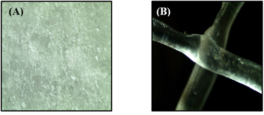 Click here to view Large image 2