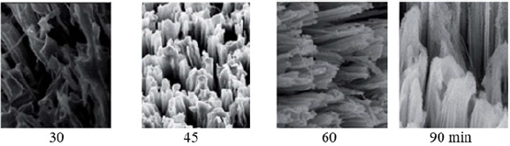 Click here to view Large image 1