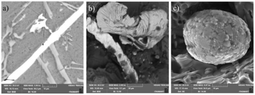 Click here to view Large image 10