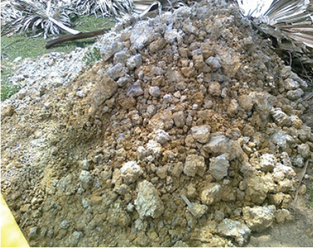 Click here to view Large Figure 1