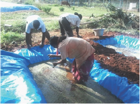 Click here to view Large Figure 2