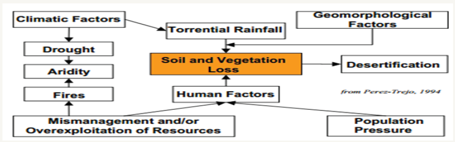 Click here to view Large Figure 4