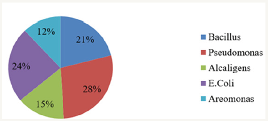 Click here to view Large Figure 1
