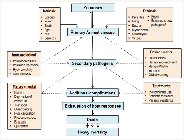 Click here to view Large Figure 1