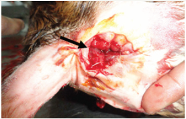 Click here to view Large image 2