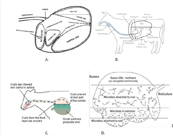 Click here to view Large image 1