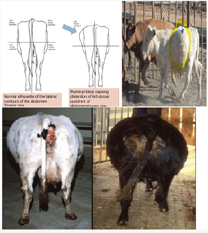 Click here to view Large image 2