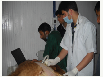 Click here to view Large image 1