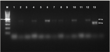 Click here to view Large images 2