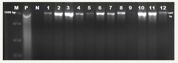 Click here to view Large image 1