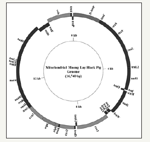 Click here to view Large image 1