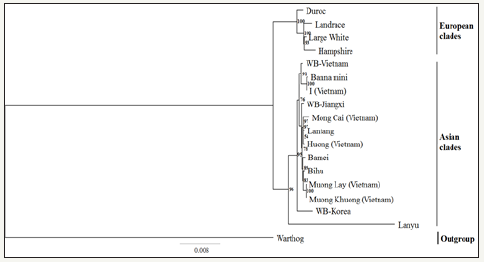 Click here to view Large image 2