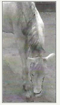 Click here to view Large image 1