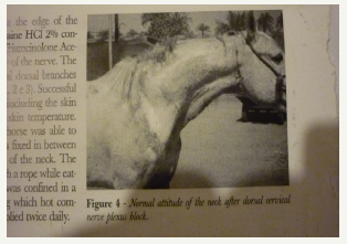 Click here to view Large image 4