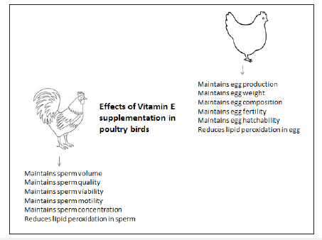 Click here to view Large image 2