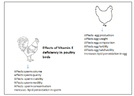 Click here to view Large image 3