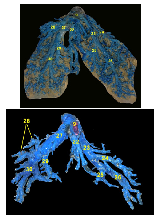 Click here to view Large image 10