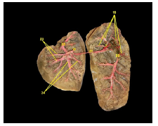 Click here to view Large image 6