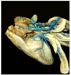 Click here to view Large image 7
