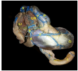 Click here to view Large image 8