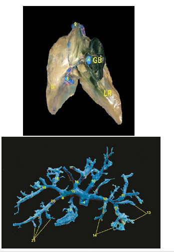 Click here to view Large image 9