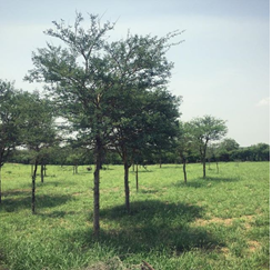 Click here to view Large image 1