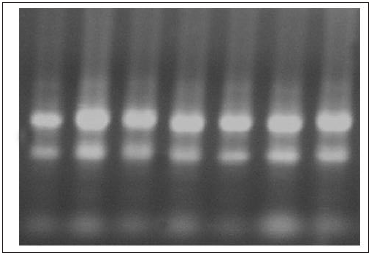 Click here to view Large image 1