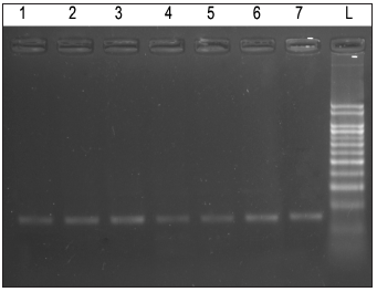 Click here to view Large image 2