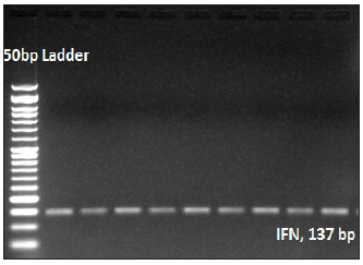 Click here to view Large image 3